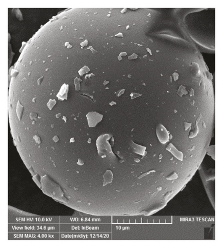 Details are in the caption following the image