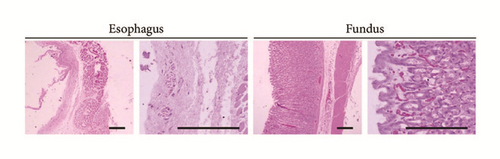 Details are in the caption following the image Details are in the caption following the image