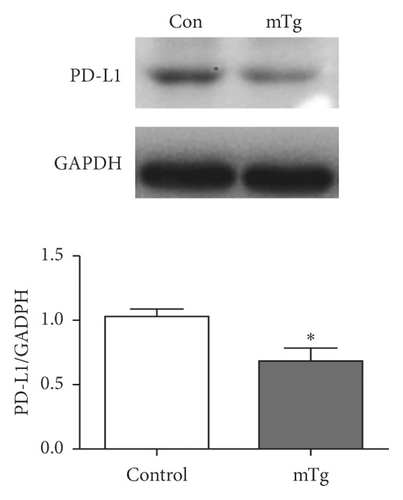 Details are in the caption following the image