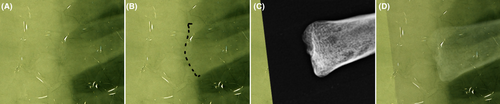 Details are in the caption following the image