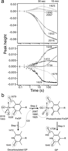 Details are in the caption following the image Details are in the caption following the image