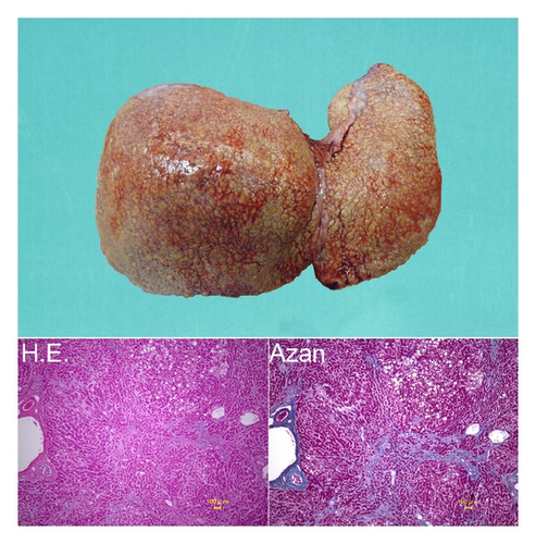 Details are in the caption following the image