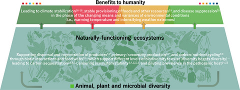 Advancing nature-based approaches to address the biodiversity and climate emergency