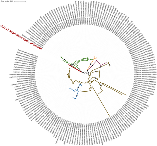 Details are in the caption following the image Details are in the caption following the image