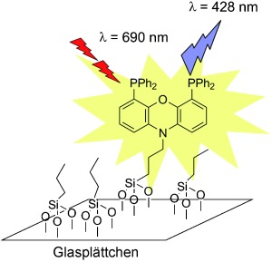 Phosphorus Ligand Imaging with Two-Photon Fluorescence Spectroscopy: Towards Rational Catalyst Immobilization