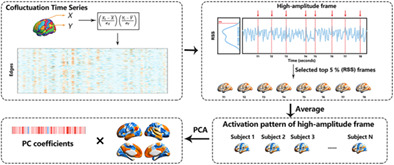 Cofluctuation analysis reveals aberrant default mode network patterns in adolescents and youths with autism spectrum disorder
