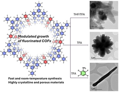 Unconventional Fast Room Temperature Synthesis of Covalent Organic Framework Single Crystals Unveiling Precise Structural Insights