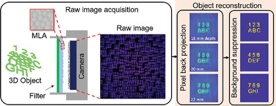 GEOMScope: Large Field-of-View 3D Lensless Microscopy with Low Computational Complexity