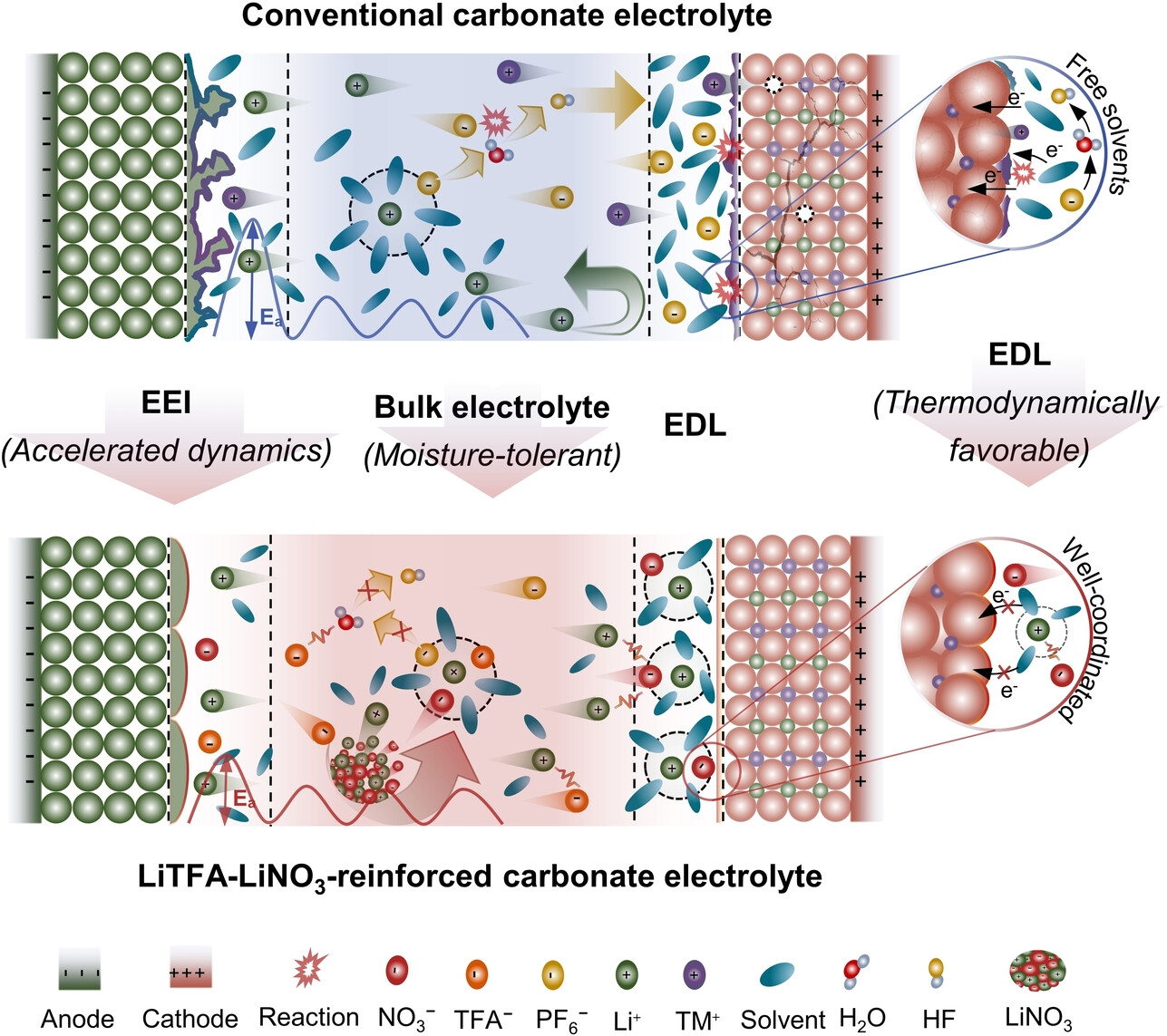 Dual-Salt Electrolyte Additive Enables High Moisture Tolerance and Favorable Electric Double Layer for Lithium Metal Battery