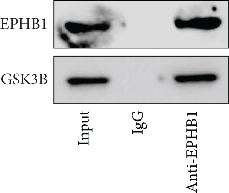Details are in the caption following the image