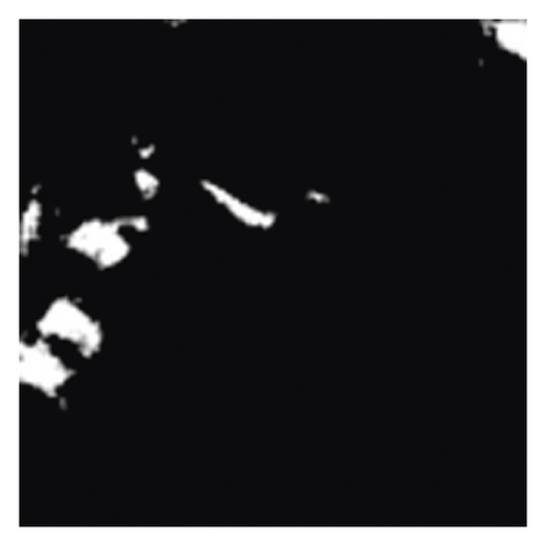 Details are in the caption following the image