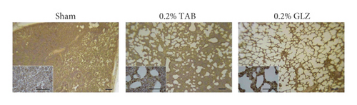 Details are in the caption following the image