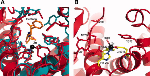 Details are in the caption following the image