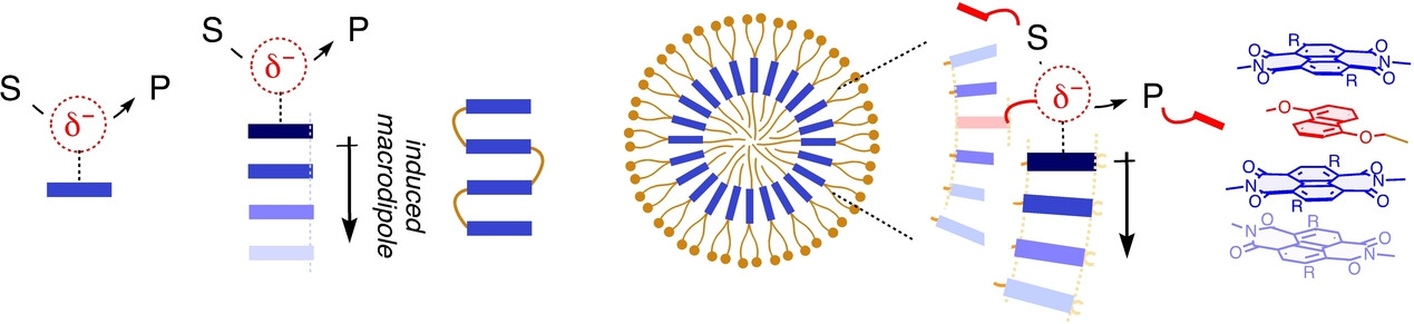 Anion-(π)n-π Catalytic Micelles