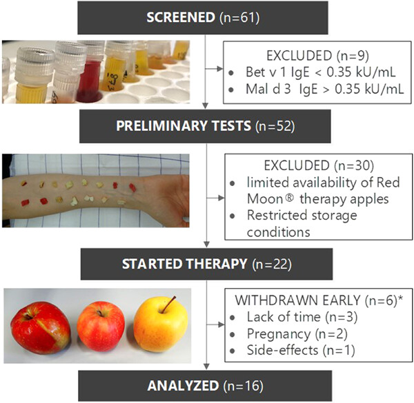 Oral birch pollen immunotherapy with apples: Results of a phase II clinical pilot study