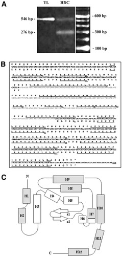 Details are in the caption following the image Details are in the caption following the image