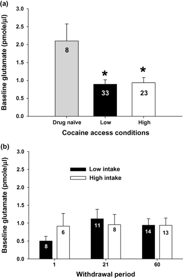 Time course of cocaine-induced behavioral and neurochemical plasticity