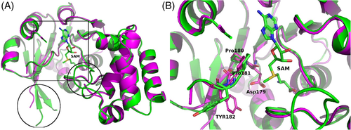 Details are in the caption following the image