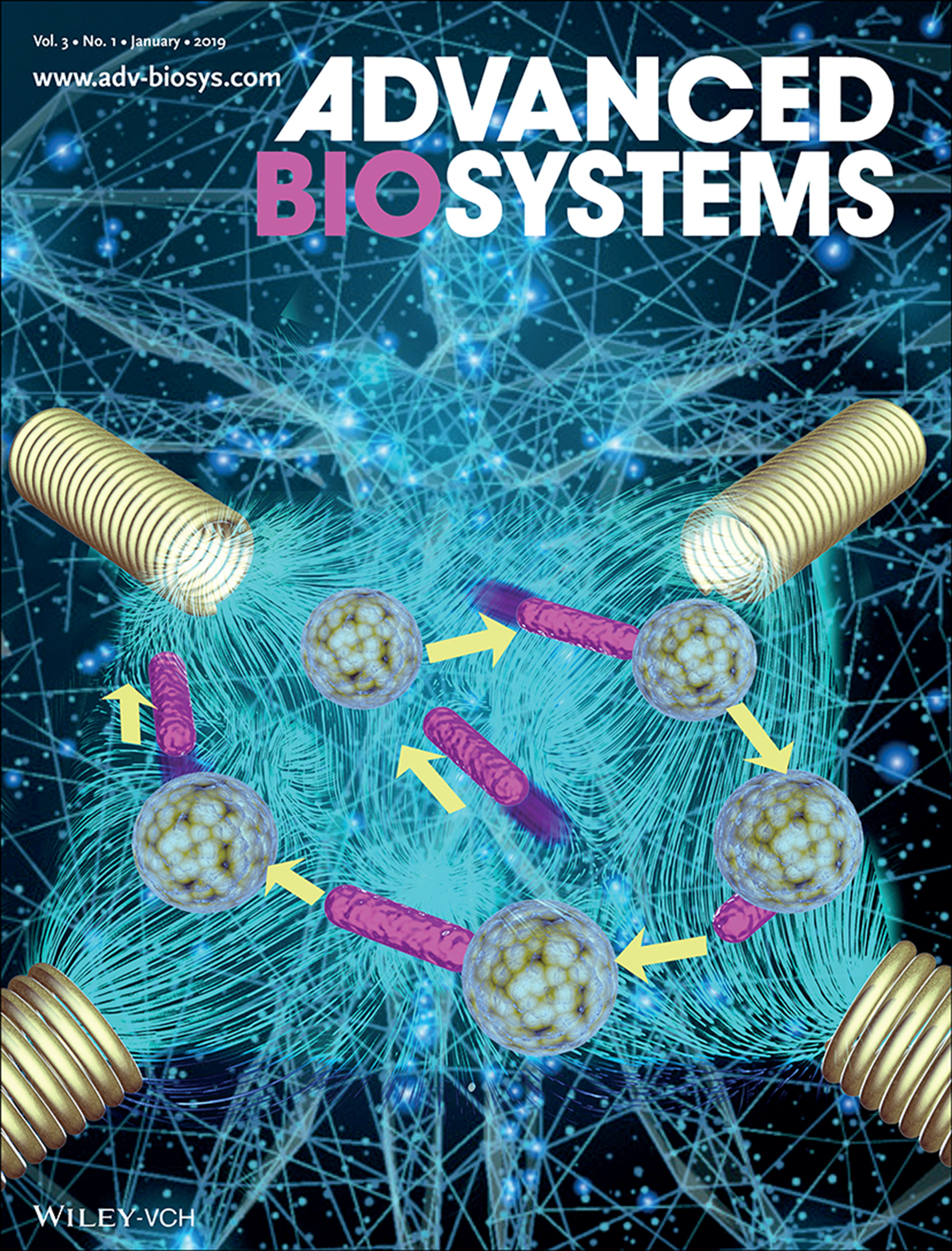 Single Cell Manipulation: Manipulation of Single Cells Using a Ferromagnetic Nanorod Cluster Actuated by Weak AC Magnetic Fields (Adv. Biosys. 1/2019) Volume 3 Issue 1, 2019