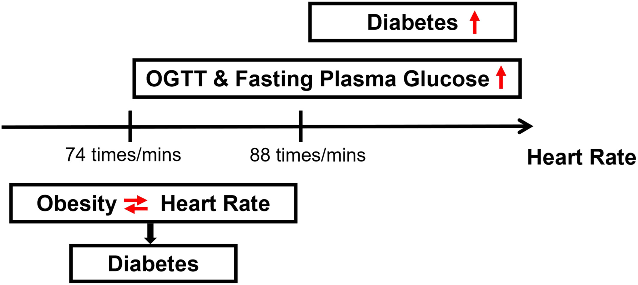 Independent and interactive associations of heart rate and obesity with type 2 diabetes mellites: A population-based study