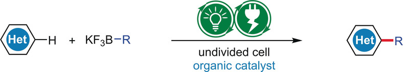 Photoelectrochemical C−H Alkylation of Heteroarenes with Organotrifluoroborates
