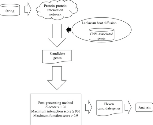 Details are in the caption following the image Details are in the caption following the image