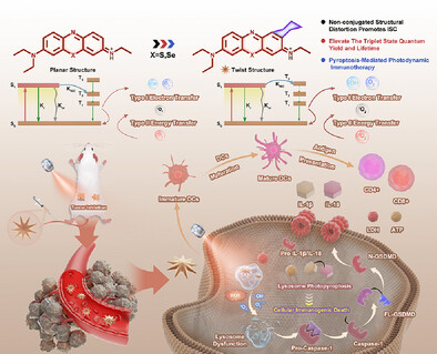 Nonconjugated Structural Distortion Promoting the Formation of NIR Triplet States in Phenothiazine Dyes for Cancer Photoimmunotherapy