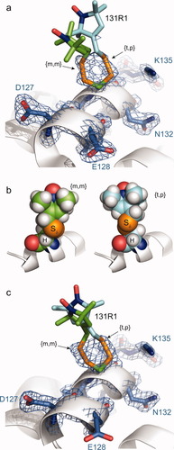 Details are in the caption following the image Details are in the caption following the image