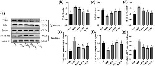 Details are in the caption following the image Details are in the caption following the image