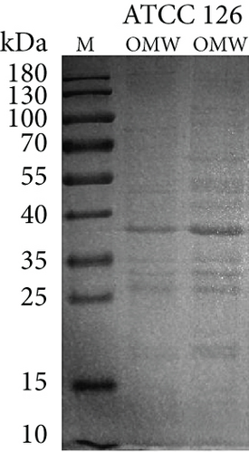 Details are in the caption following the image
