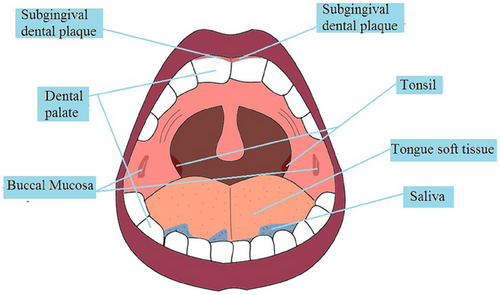 Details are in the caption following the image