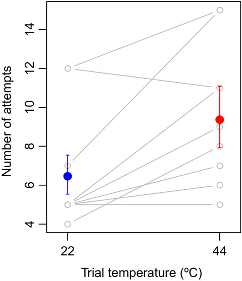 Simulated heat waves reduce cognitive and motor performance of an endotherm