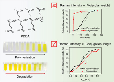 Conjugation Length-Dependent Raman Scattering Intensity of Conjugated Polymers