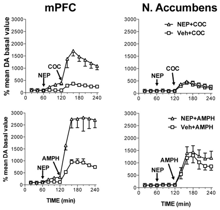 The dopamine beta-hydroxylase inhibitor nepicastat increases dopamine release and potentiates psychostimulant-induced dopamine release in the prefrontal cortex