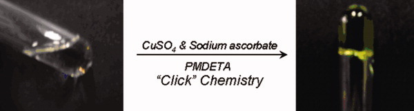 “Click” chemistry for in situ formation of thermoresponsive P(NIPAAm-co-HEMA)-based hydrogels
