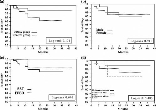 Ursodeoxycholic acid after bile duct stone removal and risk factors for recurrence: a randomized trial