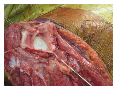 Details are in the caption following the image Details are in the caption following the image