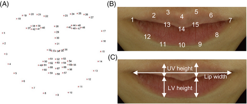 Details are in the caption following the image Details are in the caption following the image