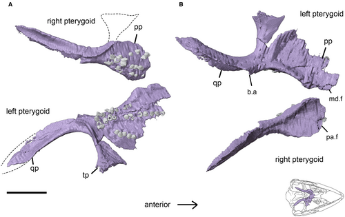 Details are in the caption following the image