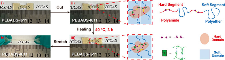A Disulfide-Based Poly(ether-b-amide) Copolymer with Rapid Self-healing Ability under Moderate Conditions†