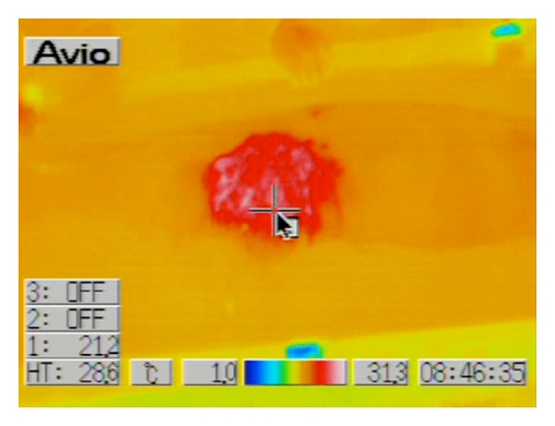Details are in the caption following the image
