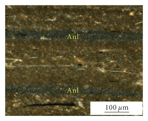 Details are in the caption following the image