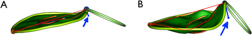 Details are in the caption following the image Details are in the caption following the image