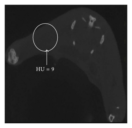 Details are in the caption following the image