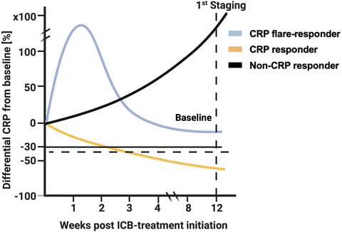 C-reactive protein flare-response predicts long-term efficacy to first-line anti-PD-1-based combination therapy in metastatic renal cell carcinoma