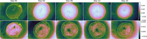 Details are in the caption following the image Details are in the caption following the image