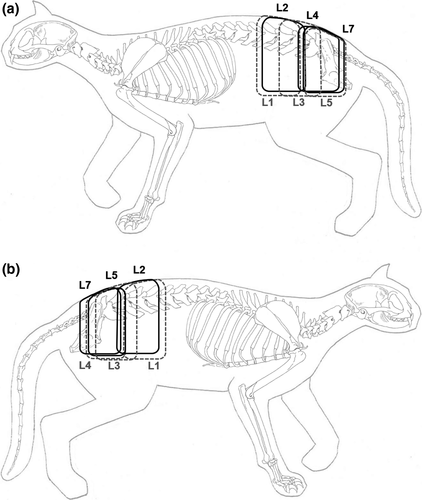 Details are in the caption following the image Details are in the caption following the image