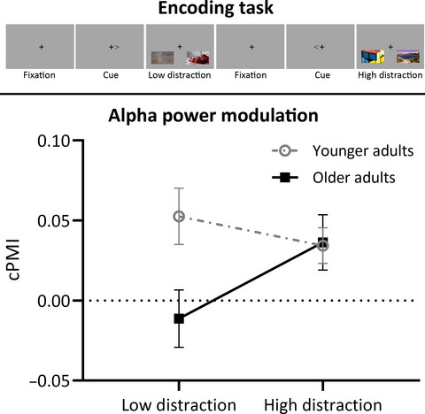 Alpha modulation in younger and older adults during distracted encoding