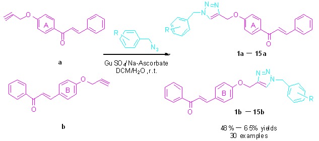 Synthesis and Bioactivity of New Chalcone Derivatives as Potential Tyrosinase Activator Based on the Click Chemistry