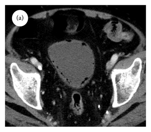 Details are in the caption following the image Details are in the caption following the image